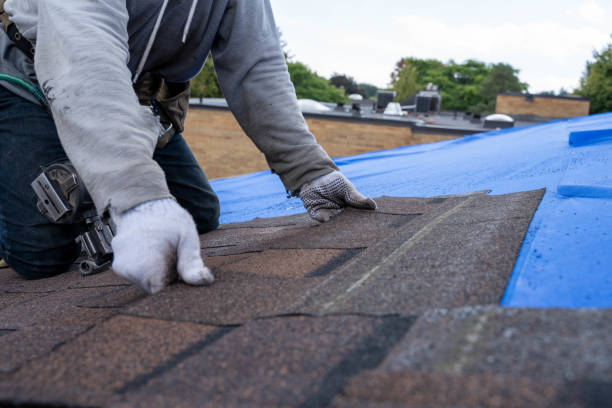 Best Roof Maintenance Services  in Monona, IA