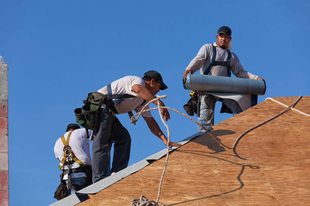 Best Roof Gutter Cleaning  in Monona, IA